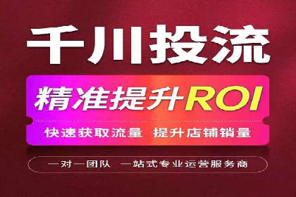 抖音信息流代理在电商行业的应用案例分析